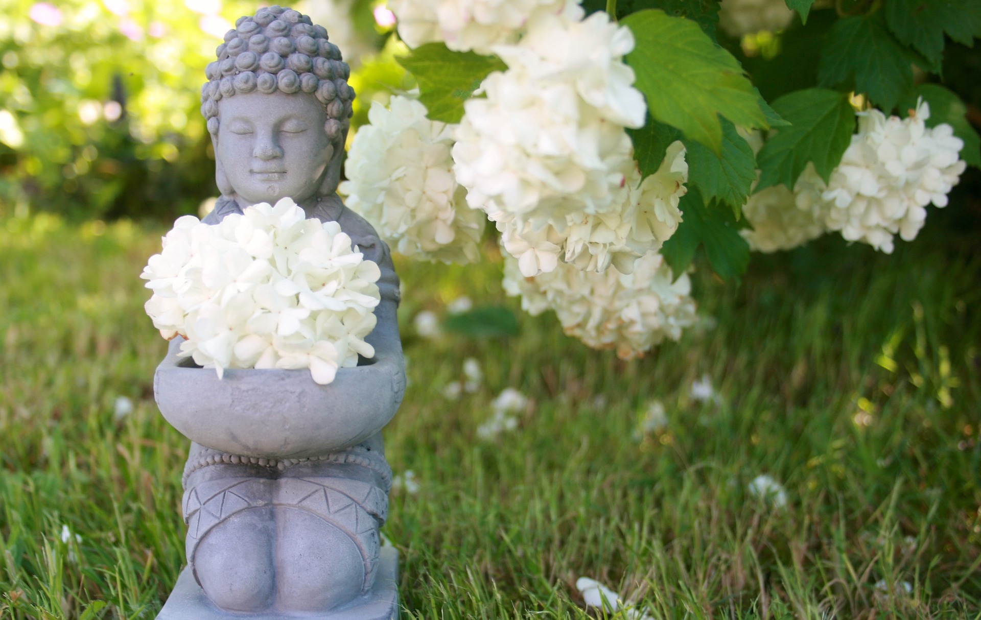 Massage in Aalen - Wellnessmassage